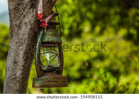 Old lantern on tree.