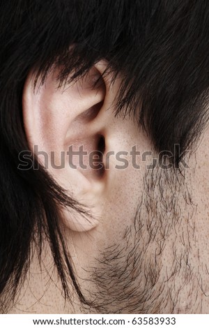 male ear