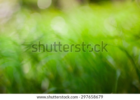 Eco nature background. Defocused bokeh. Soft blur green grass background