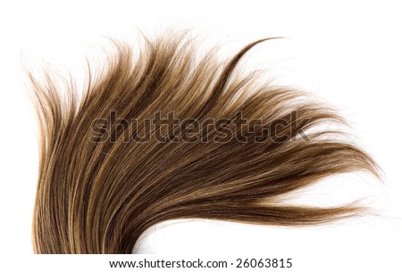 long brown hair style on white isolated background