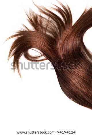 human brown hair on white isolated background