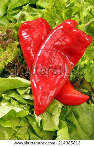 Fresh red peppers on lettuce leaves
