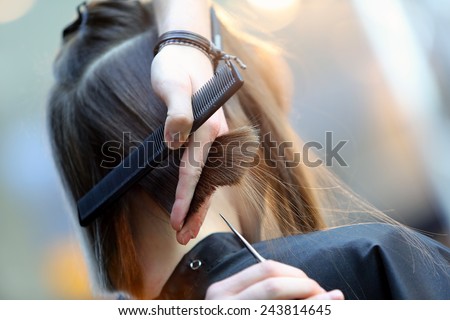 Hairdresser trimming brown hair with scissors
