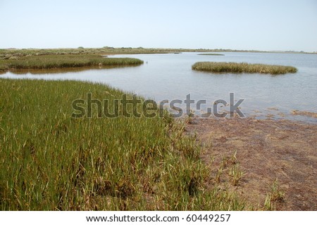 Stock Photo:  A rural small lake and a green little island in Tavira, Algarve, Portugal.