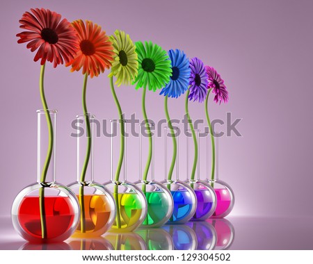 Flowers in laboratory flasks with liquids of different colors
