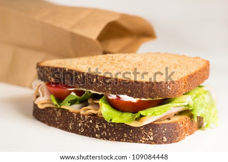 Brown Sandwich Bag