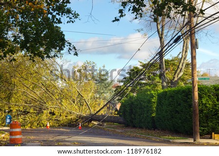 GARDEN CITY, NY - OCT 31: Fallen tree and power lines after Hurricane Sandy in Garden City, NY on Oct 31, 2012.  Sandy struck New York on Oct 29th leaving the area in a State of Emergency.