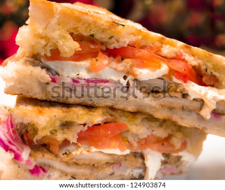 Italian Chicken and Mozzarella cheese panini sandwich