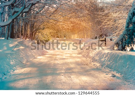 Snowy street in golden sunlight after storm