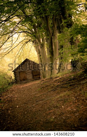 Conceptual Image Of Dirt Path Leading To Secluded Cabin