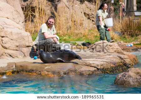 BRONX, NY APRIL 14, 2014: Animal handlers feed sea lions at The Bronx Zoo in New York City.