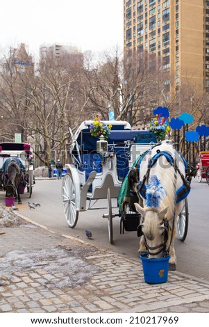 NEW YORK CITY - MARCH 14, 2014:  Horse-drawn carriage on Fifth Avenue outside Central Park in Manhattan.