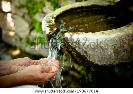 Fresh Mountain Spring Water