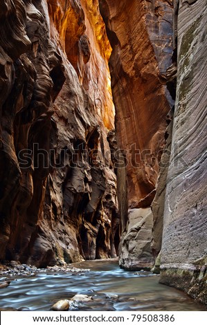 Virgin River Narrows. The Narrows in Zion National Park, is a section of canyon on the North Fork of the Virgin River. The hike of The Narrows is one of the premier hikes on the Colorado Plateau.