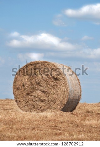 Round bale of prairie hay in a dry hay field on a sunny day