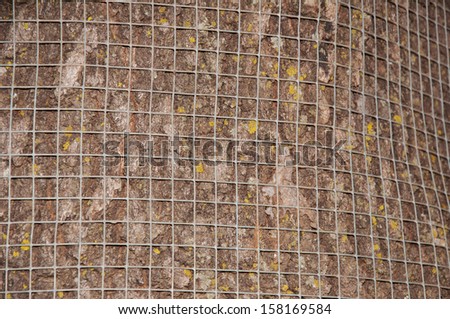 Oak tree trunk covered with hardware cloth to prevent animals from eating the bark