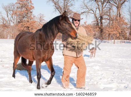 Man dressed in warm clothes putting hay out for horses on a cold snowy winter day