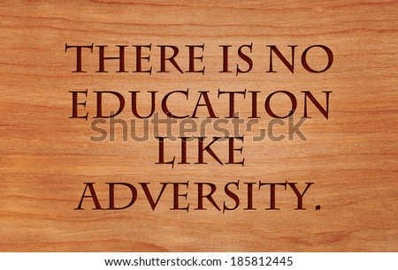 There is no education like adversity - quote by Disraeli on wooden red oak background