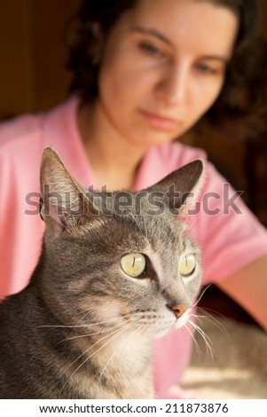 Closeup of a blue tabby cat, with a young woman looking at the cat on the background