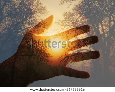 Double exposure with a sunrise behind trees with a hand