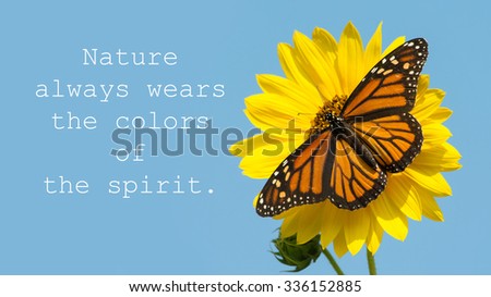 Nature always wears the colors of the spirit - quote with a female Monarch butterfly on a yellow sunflower, against blue sky