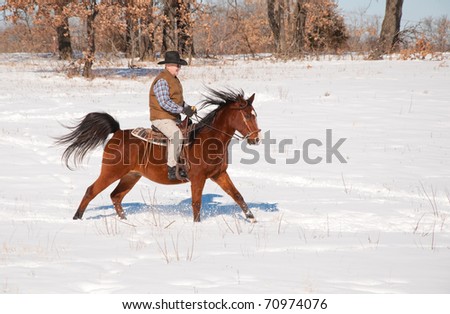 Man wearing a cowboy hat riding a horse in snow