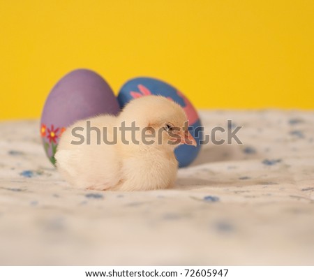 little easter eggs clipart. stock photo : Tired little