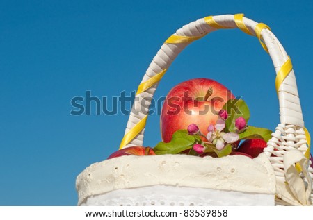White basket with apples and apple blossoms against clear blue sky