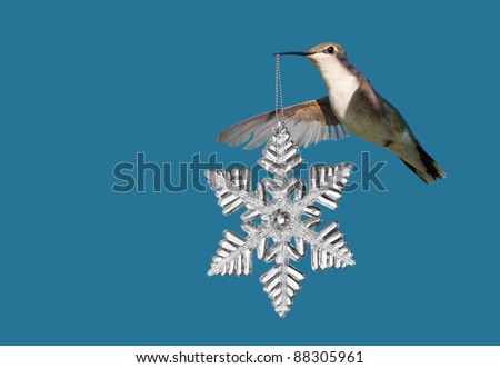 Hummingbird carrying a snowflake Christmas ornament on blue background; with copy space