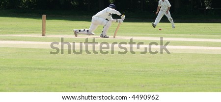 cricket batsman