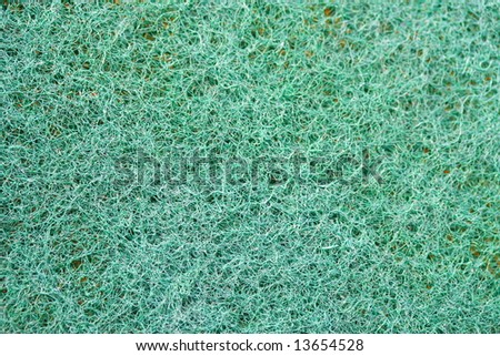 Green Scourer