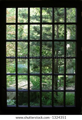 Garden Through Window