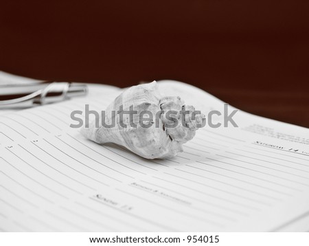 day planner with sea shell (dof)