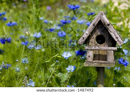 A birdhouse nestles among spring flowers