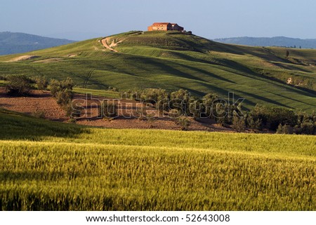 Senesi Siena Tuscany Italy