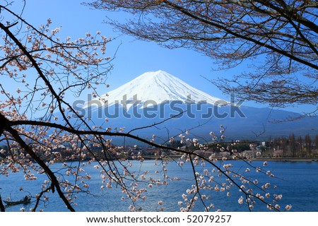 Mount Fuji and Sakura or Cherry Blossoms at Lake Kawaguchi, Japan