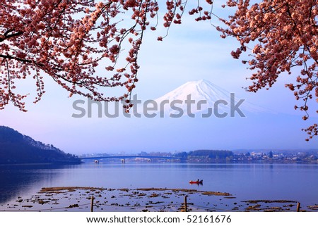 Beautiful cherry blossoms with Mount Fuji, japan