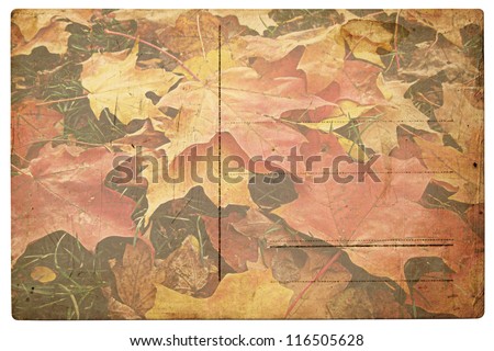 Autumn Leaves Post Card  Ideal for thanksgiving, holiday or retro designs