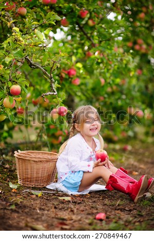 cute toddler girl picking fresh apples at sunny day on a organic farm