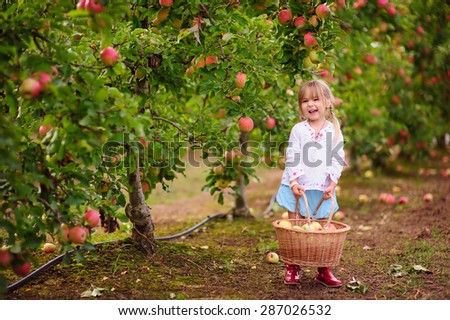 Cute little girl picking apples in a green grass background at sunny day