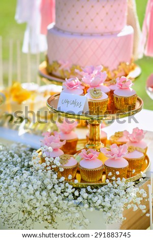 Dessert table with cakes decorated for a outdoor party