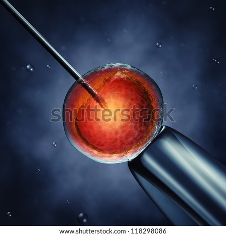 Intracytoplasmic Sperm Injection Sperm Injected Into An Oocyte Detailed Illustration