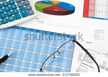 Financial audit of the corporate accounts of a successful company