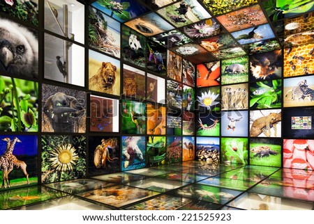 URDAIBAI, SPAIN - MARCH 08, 2014: Inside the \'Torre Madariaga\' multimedia biodiversity showroom, with pictures of flowers and animals, and no people inside in Urdaibai, Spain on Mar 08, 2014