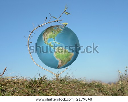 World globe fixed on tree branch growing out of grass against clear blue sky - environmental concept