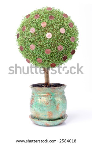 pot tree