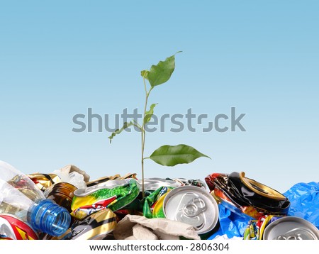 Plantlet growing on a garbage dump over clear blue sky