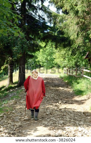 Old country woman wearing headscarf walking up the field path through forest