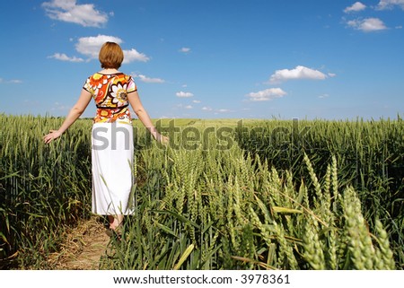 Woman in floral blouse and white skirt strolling romantically through wheat crop skimming delicately corn ears with her palms