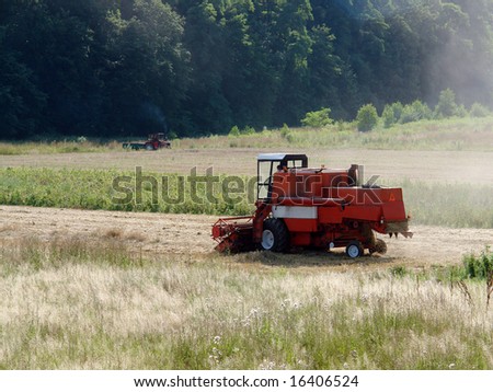 Combine harvester working in the corn field